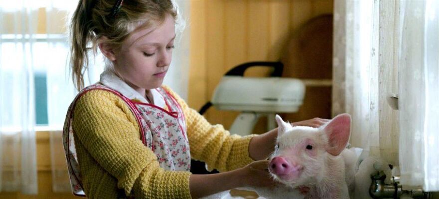 Children's Corner: Charlotte's Web