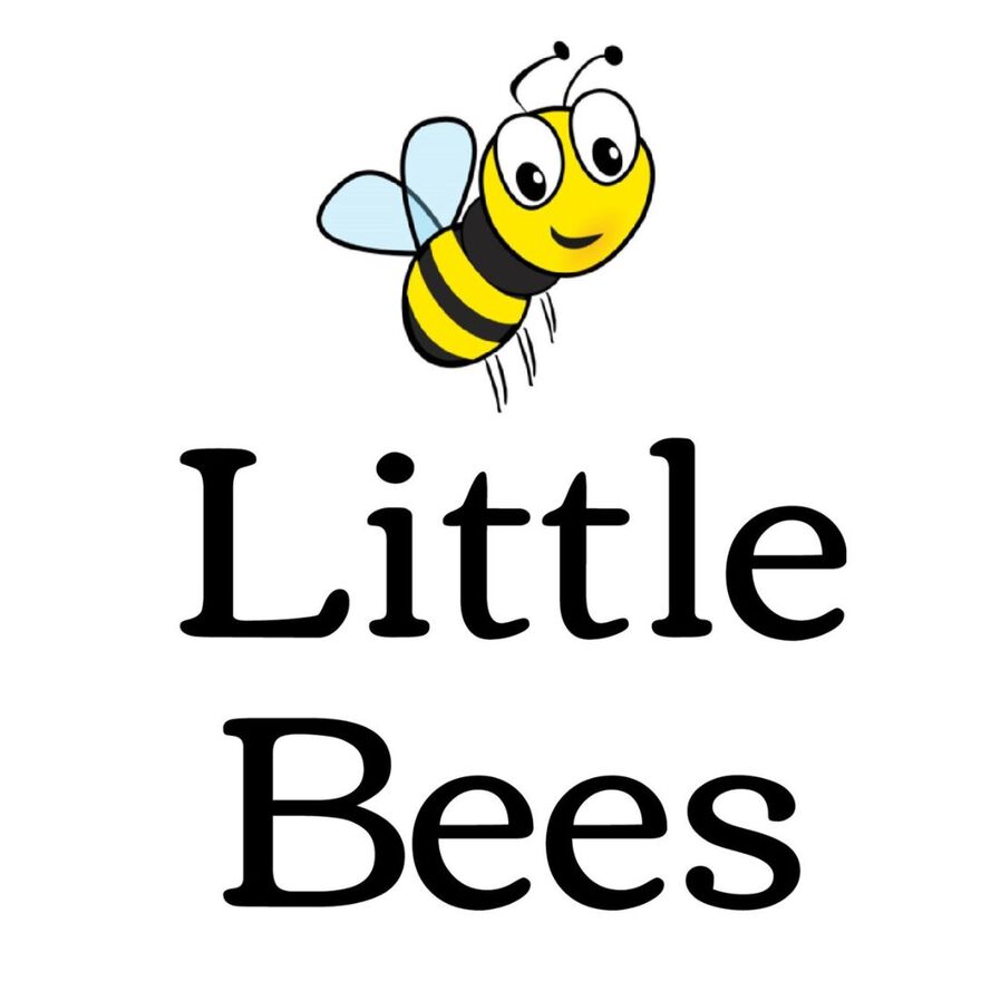 Little Bees - Summer Term