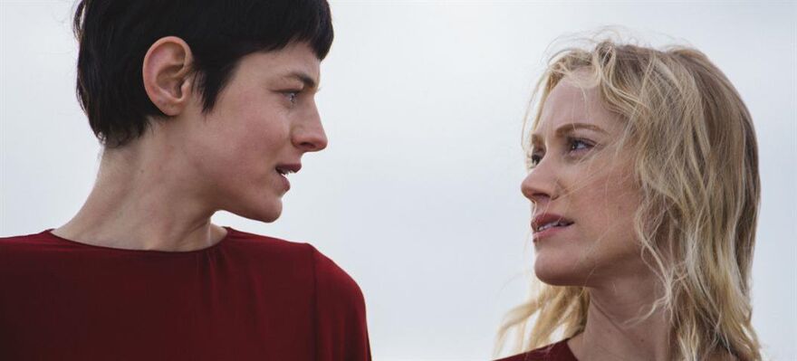 BEAM Seniors: 100 Nights of Hero