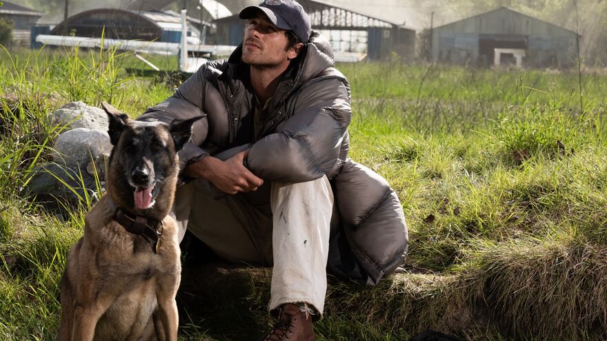 A character portrayed by Jacob Elordi sits on a grass hill with a German Shepherd dog.