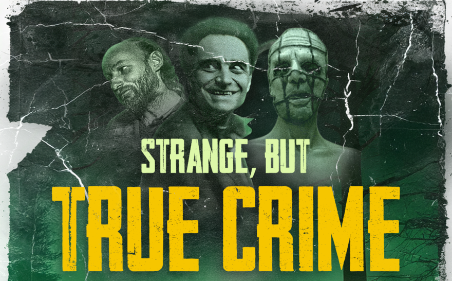Strange, But True Crimes Title