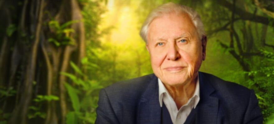 David Attenborough: A Life On Our Planet