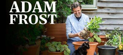 Adam Frost